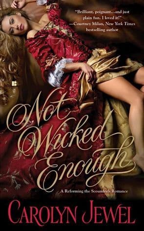 Not Wicked Enough book cover