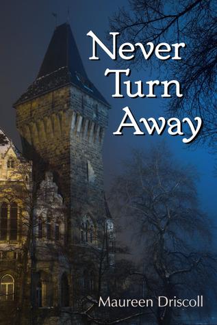 Never Turn Away book cover