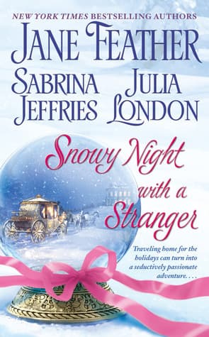 Snowy Night with a Stranger book cover
