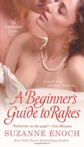 A Beginner's Guide to Rakes book cover
