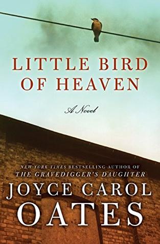 Little Bird of Heaven book cover