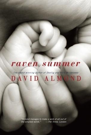 Raven Summer book cover