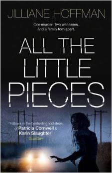 All the Little Pieces book cover