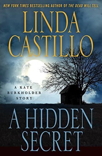 A Hidden Secret book cover