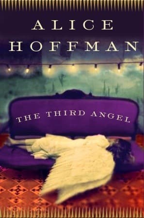The Third Angel book cover