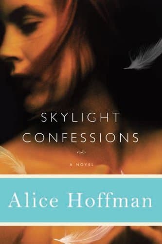 Skylight Confessions book cover