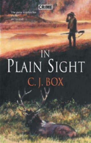 In Plain Sight book cover