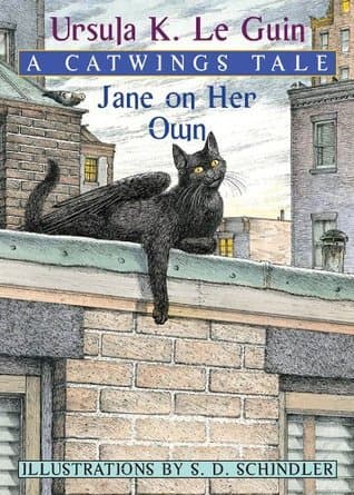 Jane on Her Own book cover