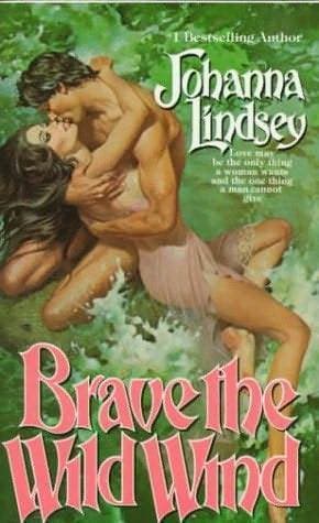 Brave the Wild Wind book cover