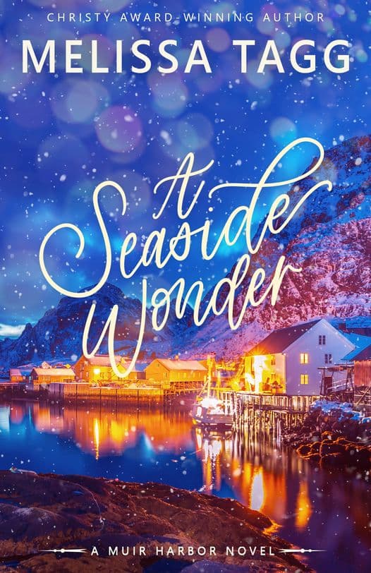 A Seaside Wonder book cover