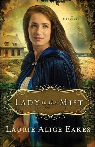 Lady in the Mist book cover