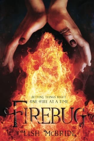 Firebug book cover