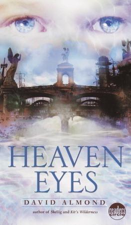 Heaven Eyes book cover