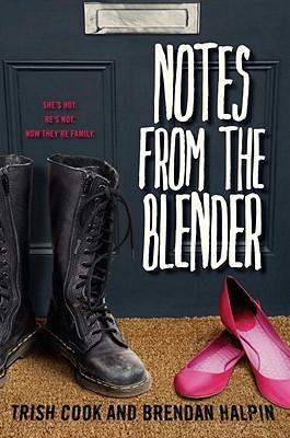 Notes from the Blender book cover