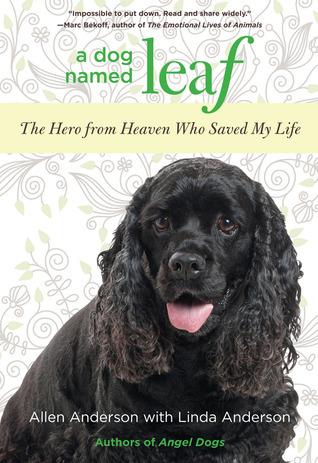 A Dog Named Leaf: The Hero from Heaven Who Saved My Life book cover