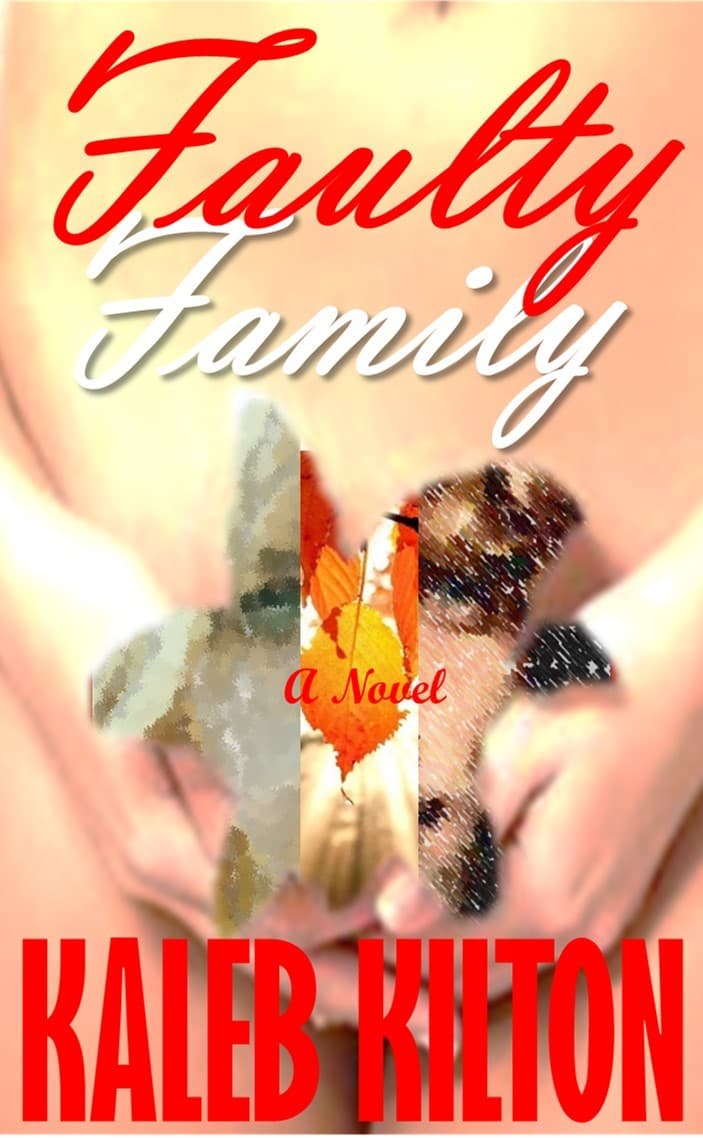 Faulty Family book cover