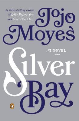 Silver Bay book cover