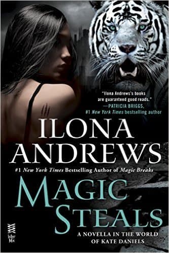 Magic Steals book cover