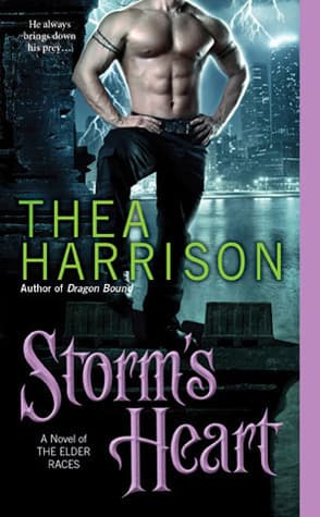 Storm's Heart book cover