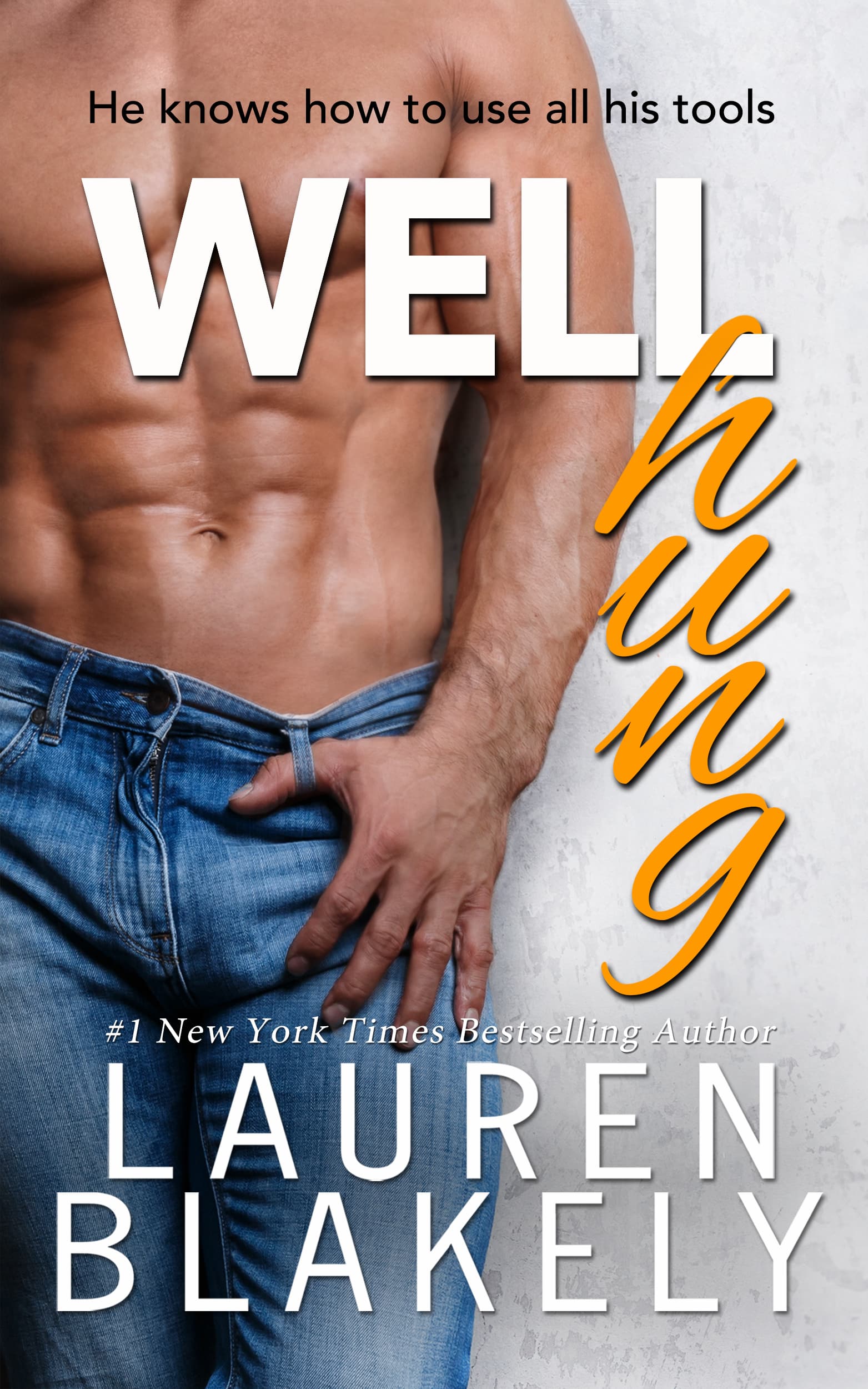 Well Hung book cover