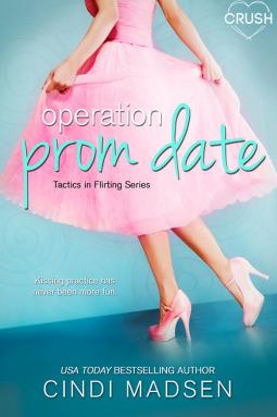 Operation Prom Date book cover