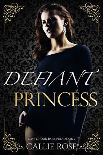 Defiant Princess book cover