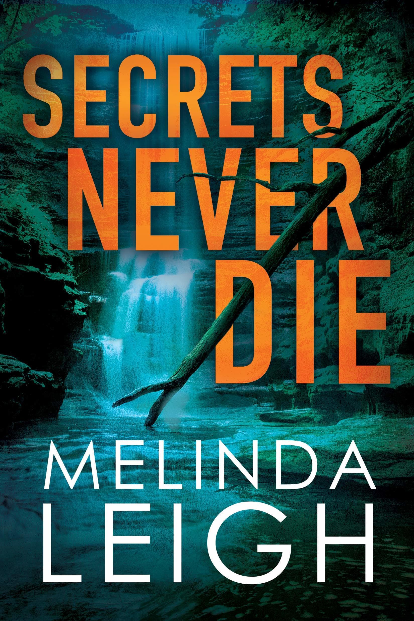 Secrets Never Die book cover