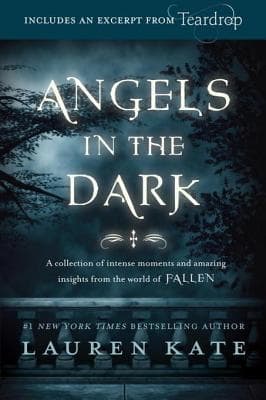 Angels in the Dark book cover