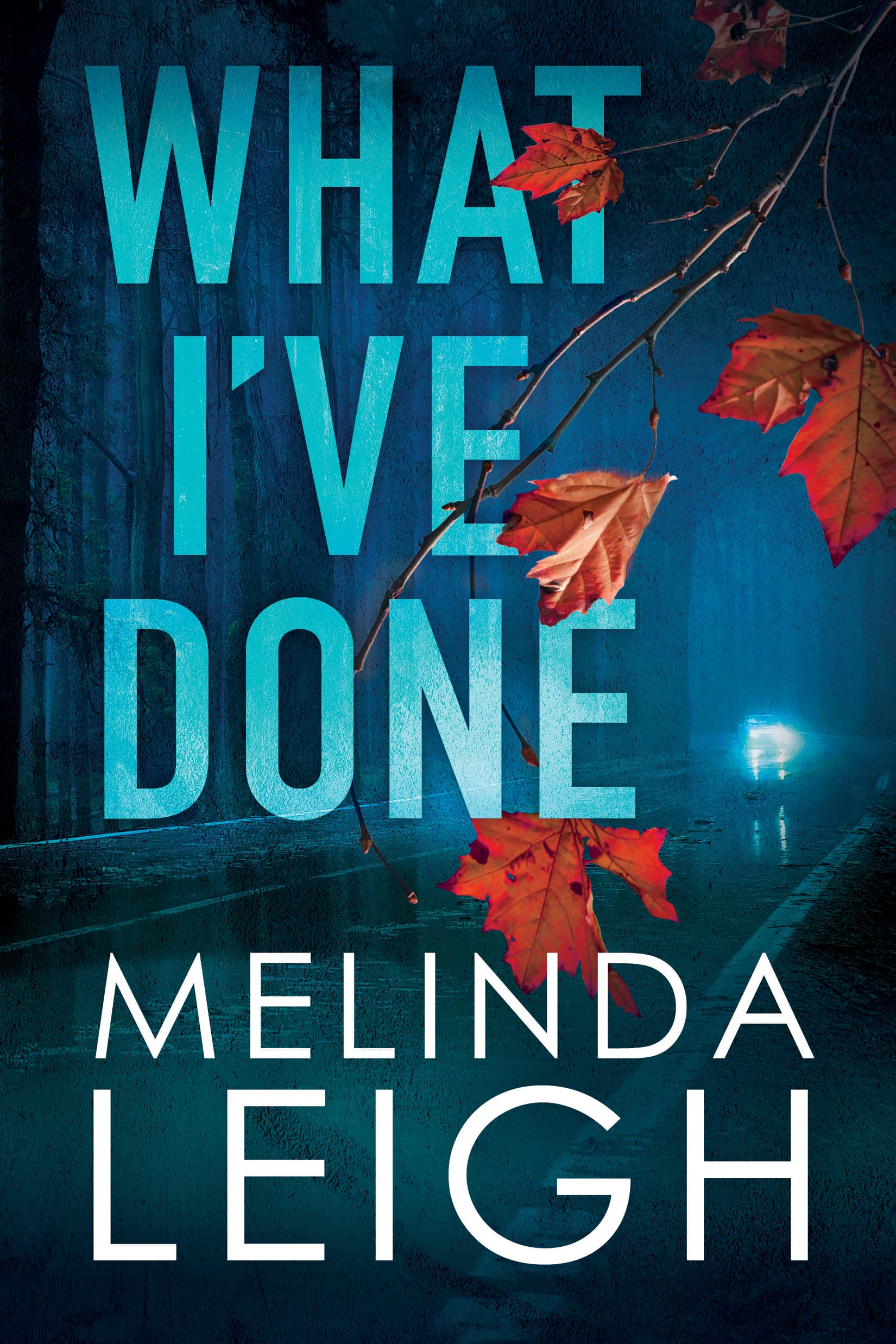 What I've Done book cover