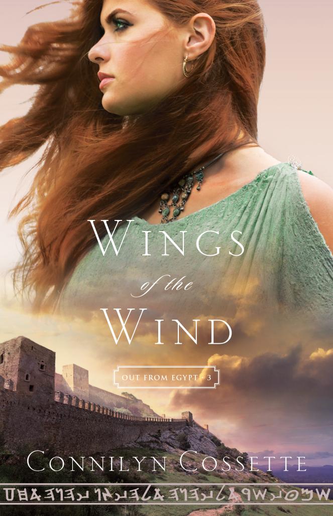 Wings of the Wind book cover