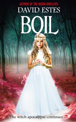 Boil book cover