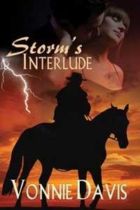 Storm's Interlude book cover