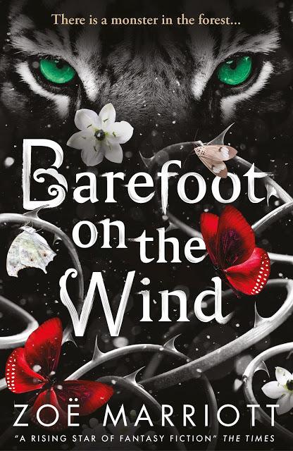 Barefoot on the Wind book cover