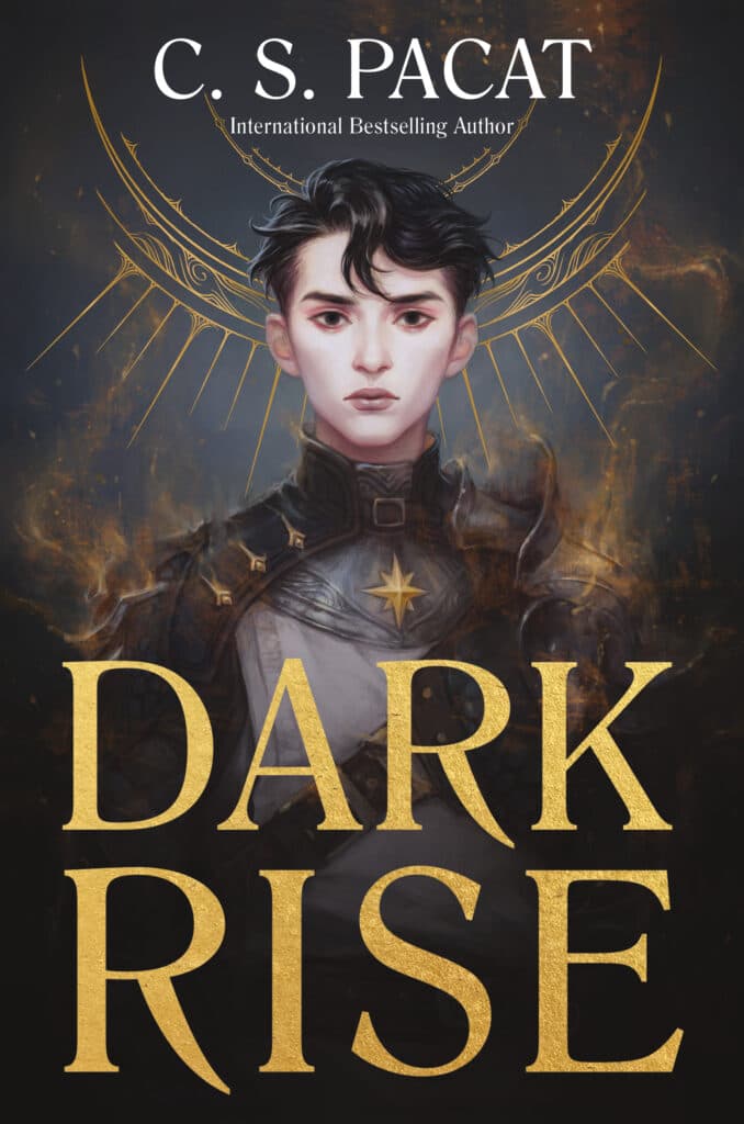Dark Rise book cover