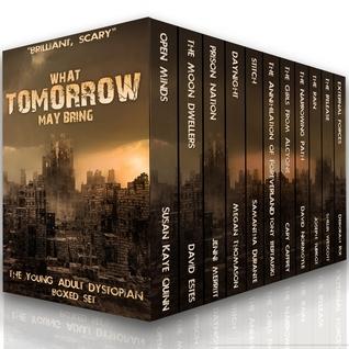 What Tomorrow May Bring book cover