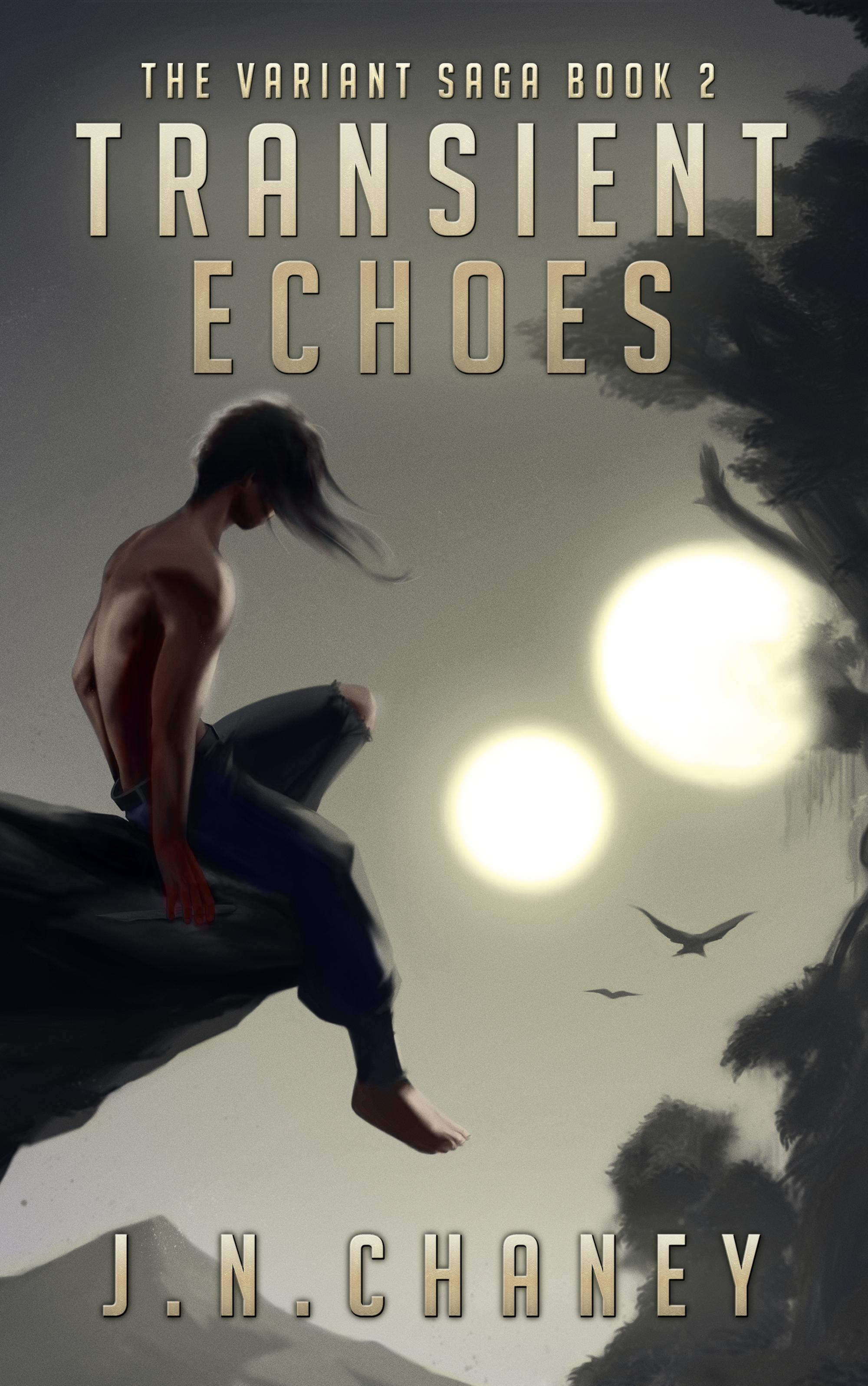 Transient Echoes book cover