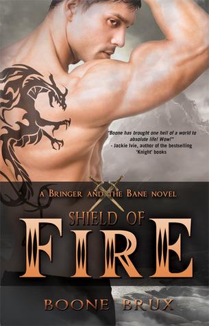 Shield of Fire book cover