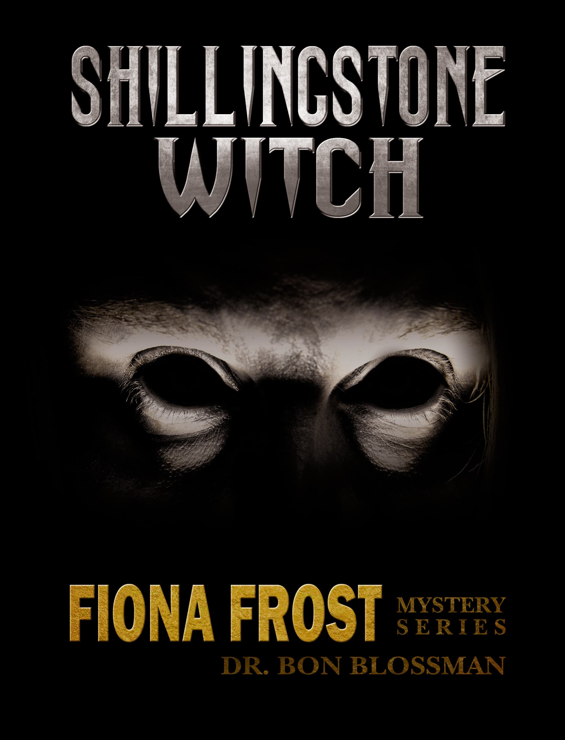 Shillingstone Witch book cover