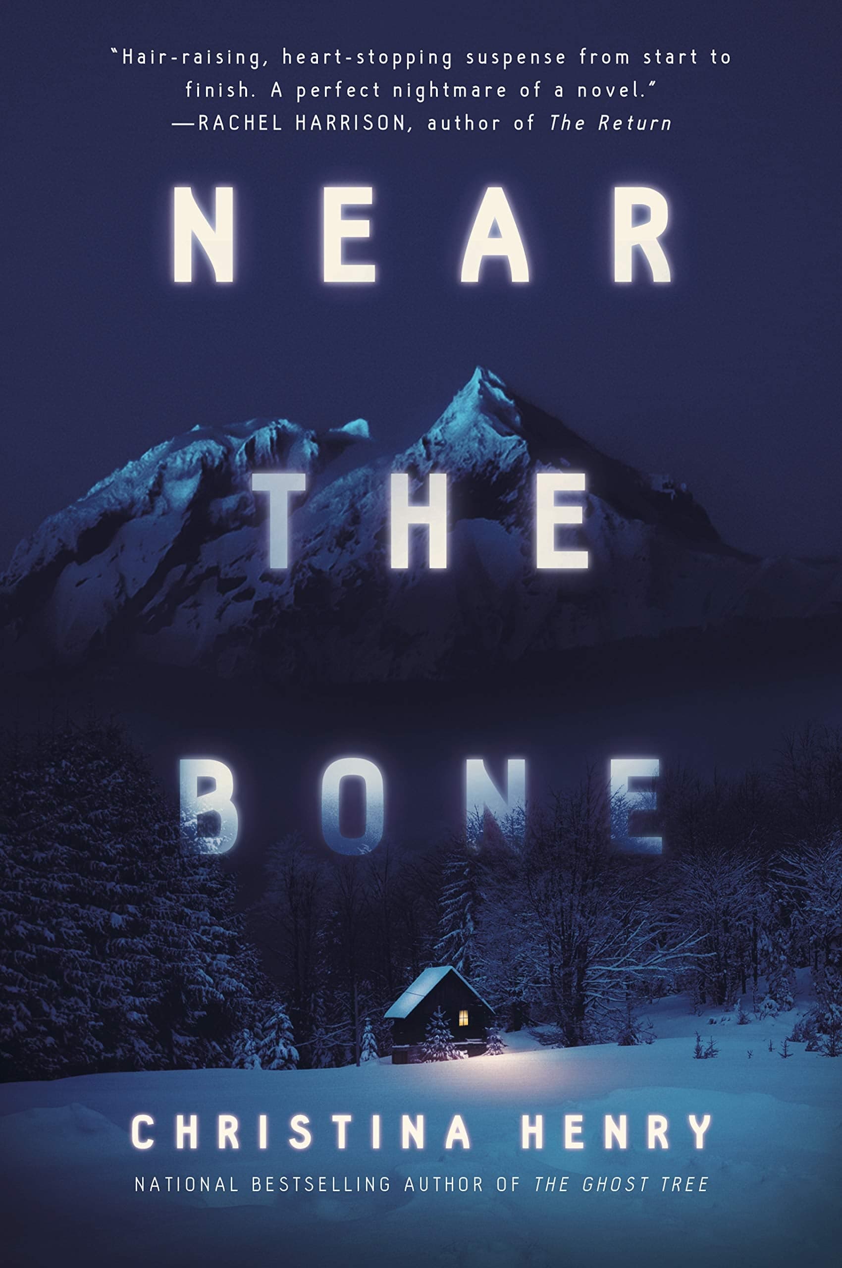 Near the Bone book cover