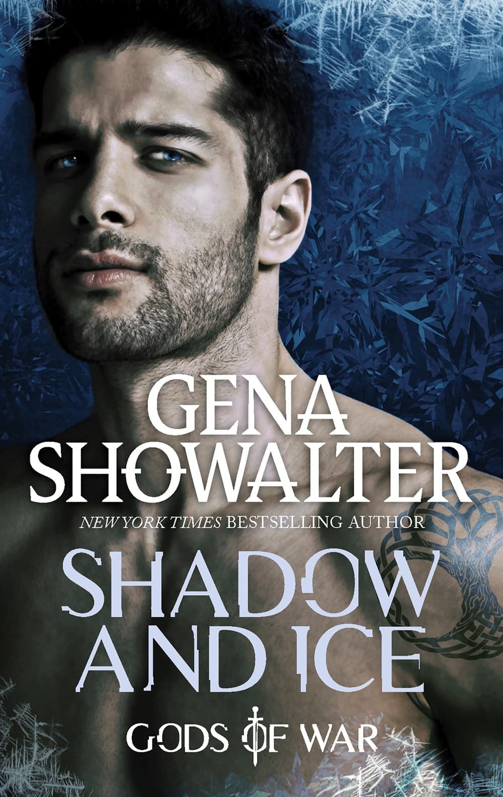 Shadow and Ice book cover