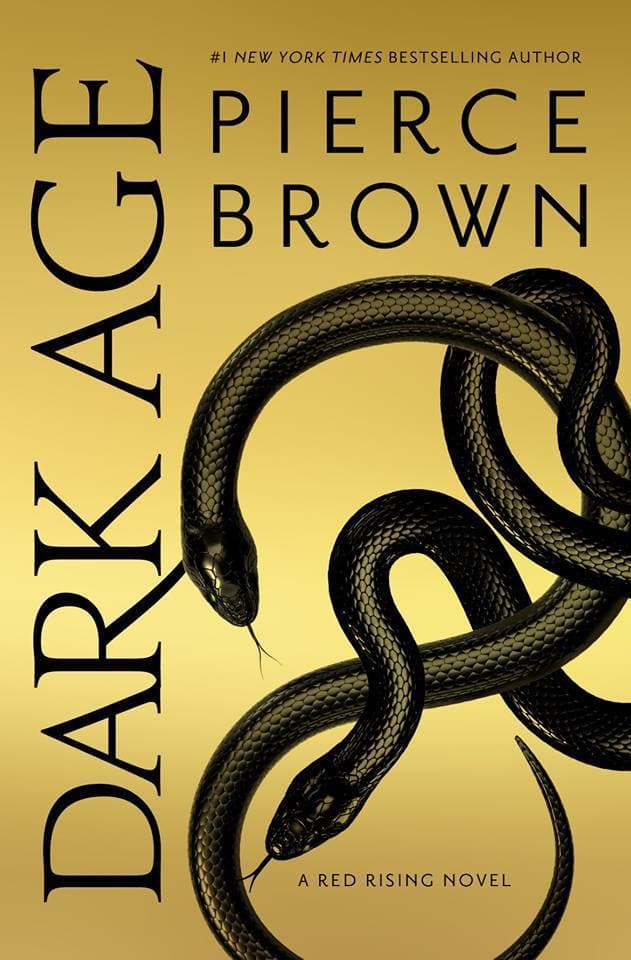 Dark Age book cover