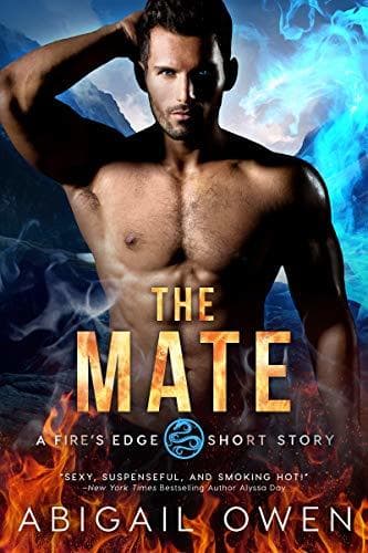 The Mate book cover