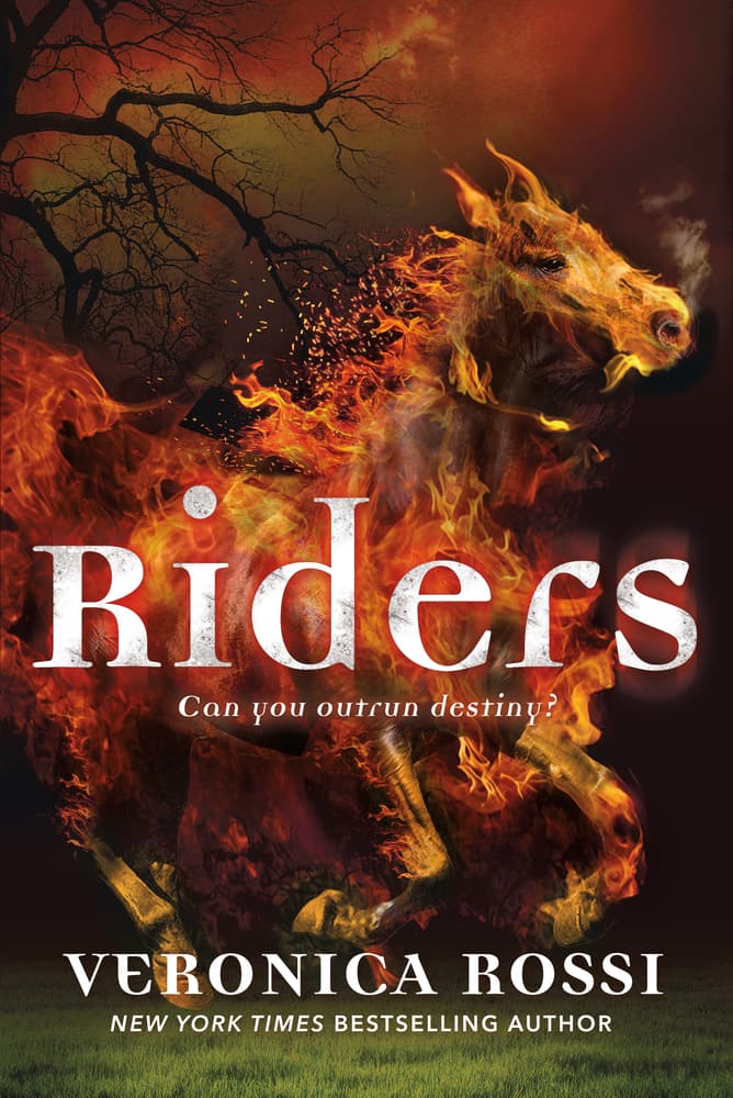 Riders book cover