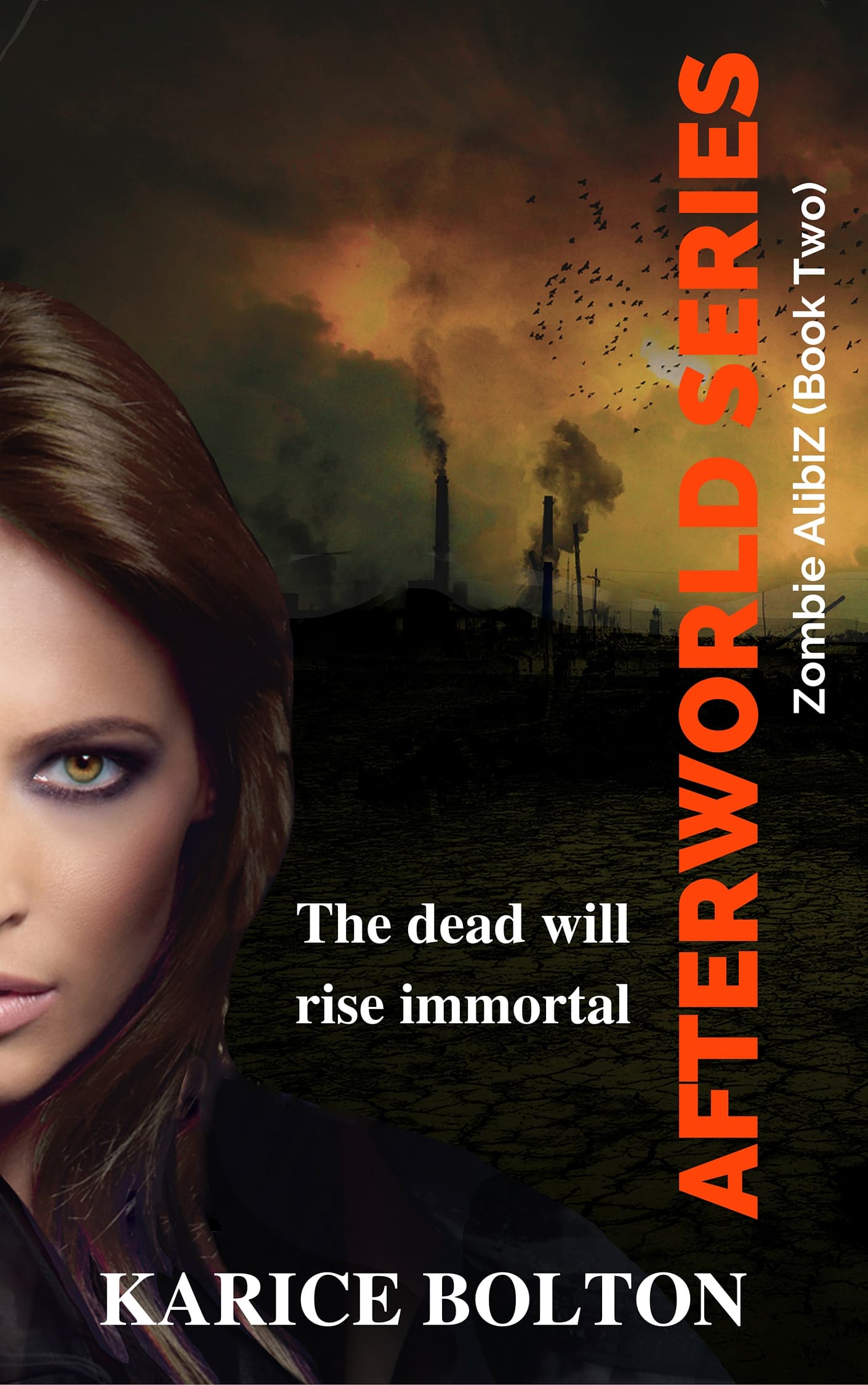 AlibiZ book cover