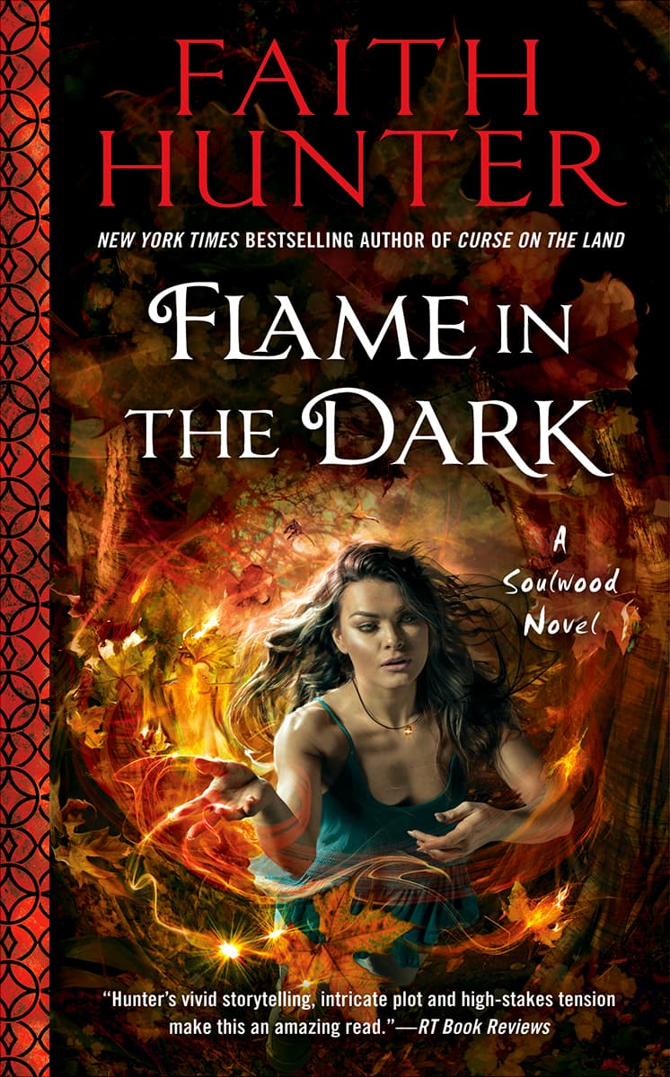 Flame in the Dark book cover