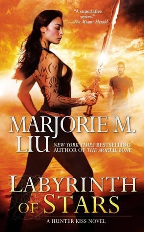 Labyrinth of Stars book cover