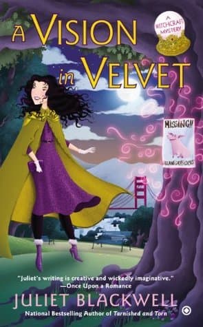 A Vision in Velvet book cover