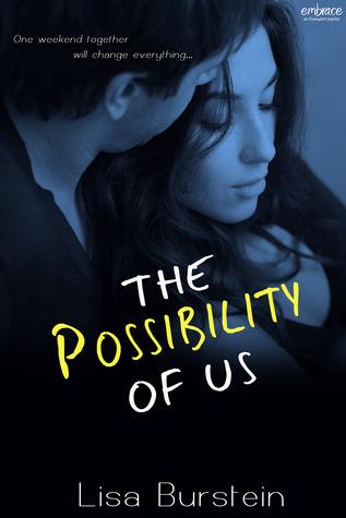 The Possibility of Us book cover