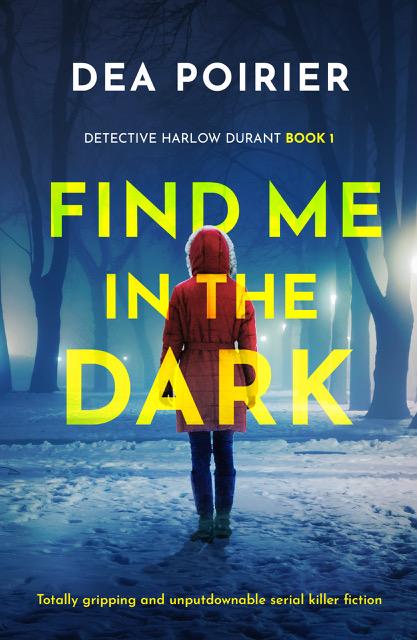 Find Me in the Dark book cover