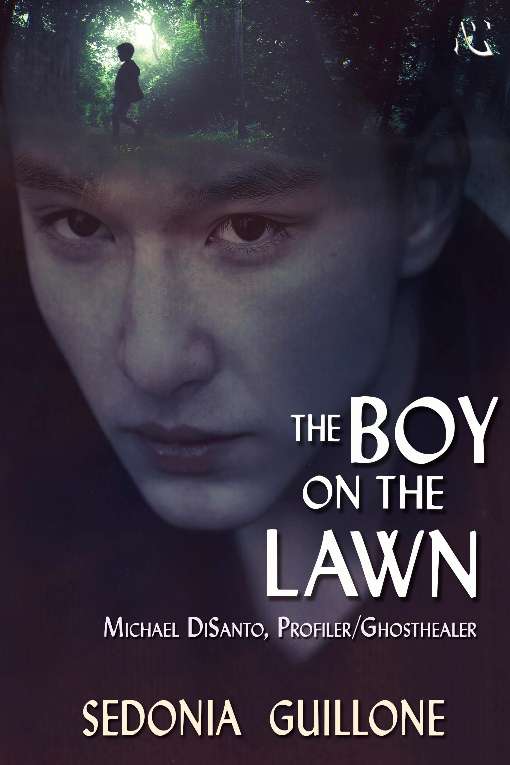 The Boy on the Lawn book cover